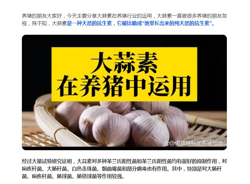 大蒜素在養(yǎng)豬行業(yè)的運用，您了解多少？